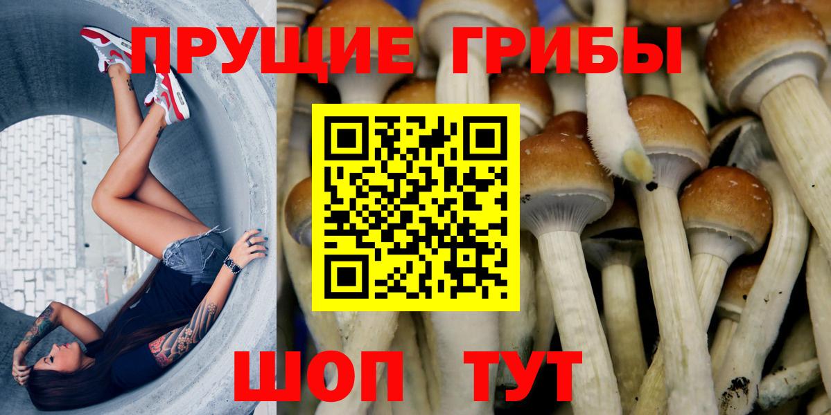 Галлюциногенные грибы Magic Shrooms Усинск