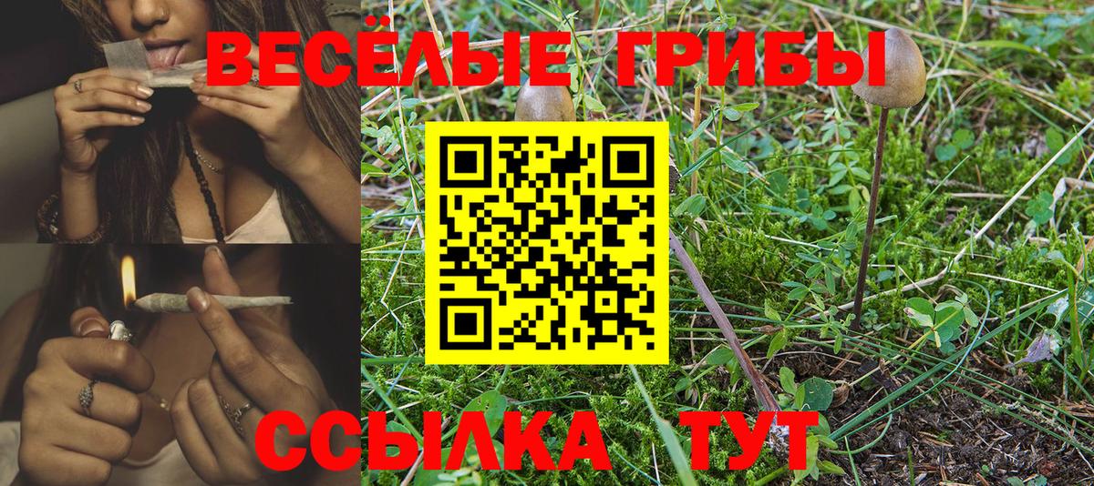 Псилоцибиновые грибы Cubensis  Галлюциногенные грибы MAGIC MUSHROOMS  Вход с VPN  Усинск 